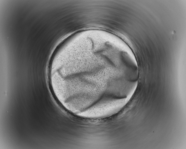 X0000094341003200711301245