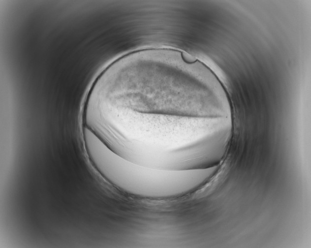 X0000094341004200711301245