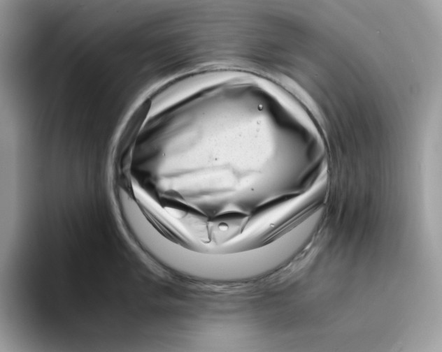 X0000094341005200711301245