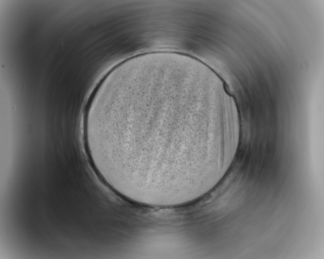 X0000094341006200711301245