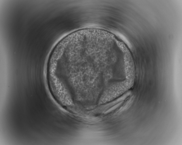 X0000094341007200711301245