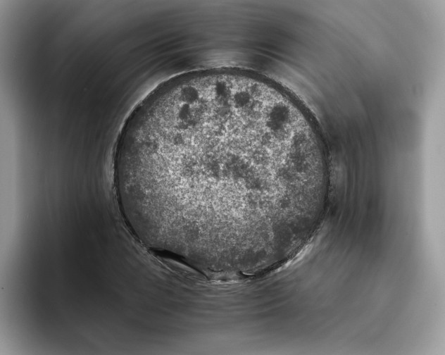 X0000094341023200711301244