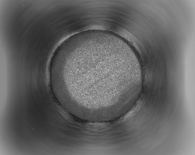 X0000094341027200711301244