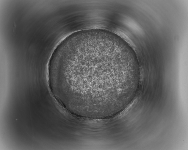 X0000094341031200711301244