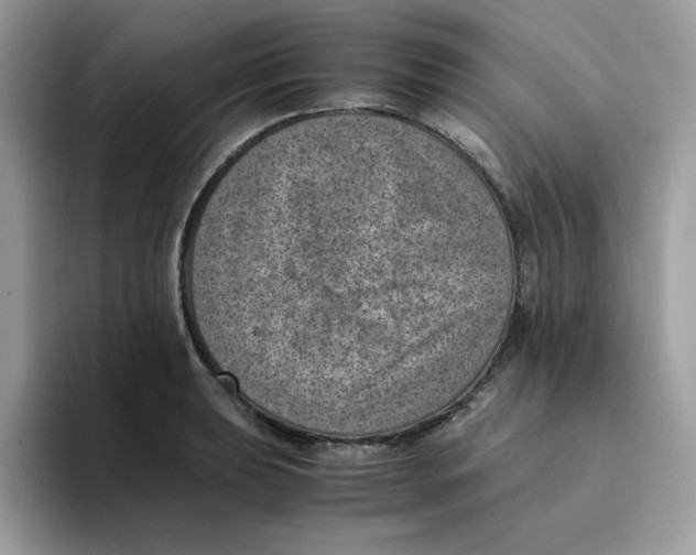 X0000094341039200711301244