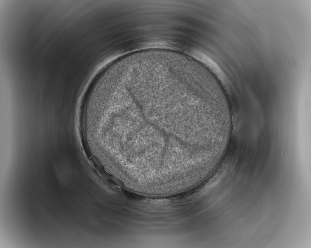 X0000094341043200711301244