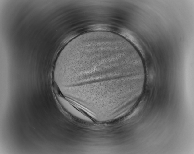 X0000094341049200711301245