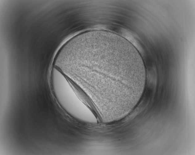 X0000094341052200711301245