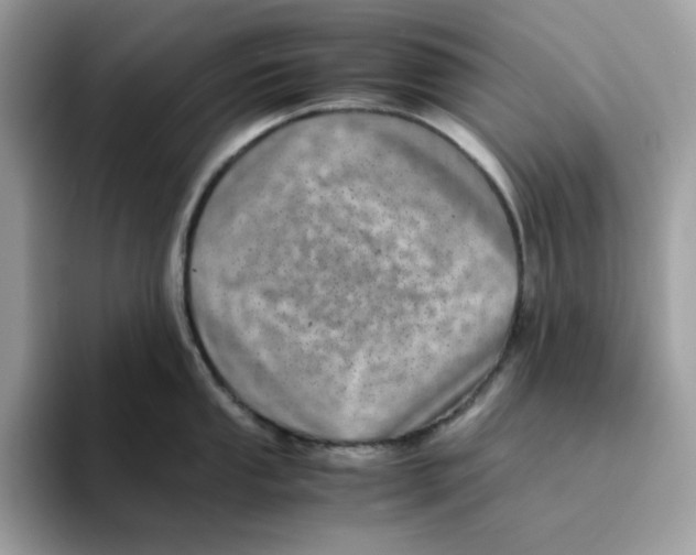 X0000094341053200711301245