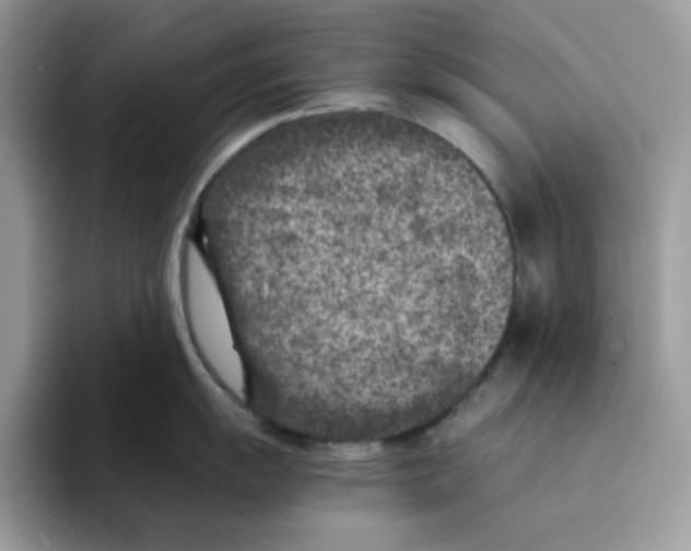 X0000094341055200711301245