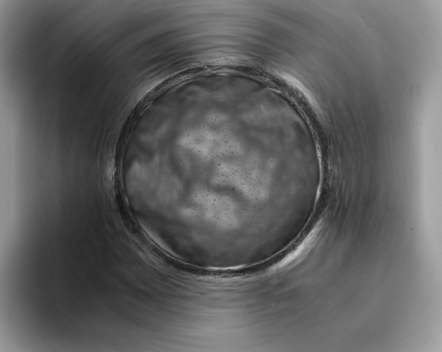 X0000094341065200711301244