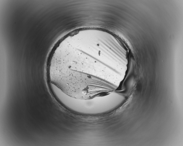 X0000094341085200711301244