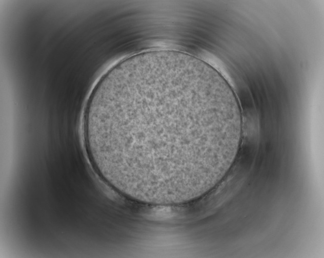 X0000094341098200711301243