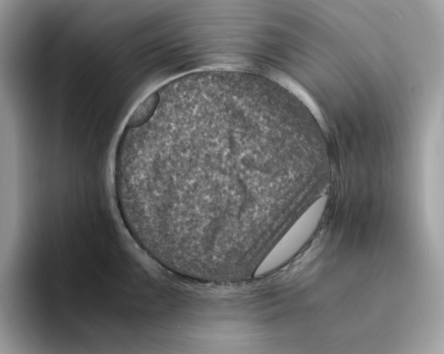 X0000094341099200711301243