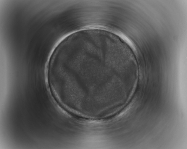 X0000094341102200711301243