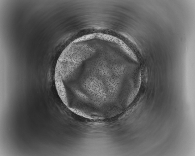 X0000094341110200711301243