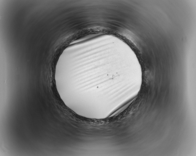 X0000094341111200711301243