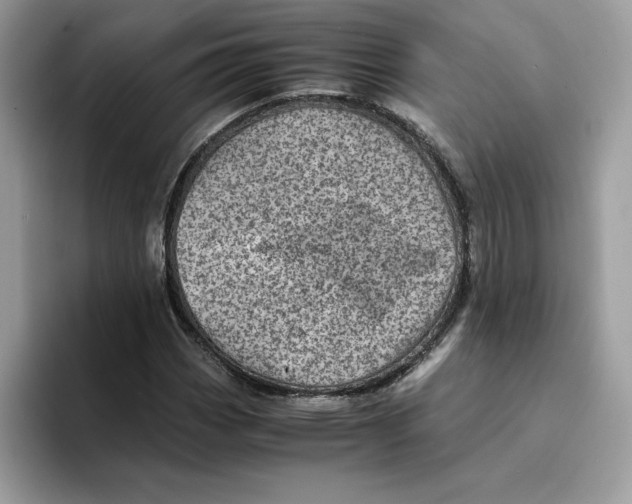 X0000094341113200711301243