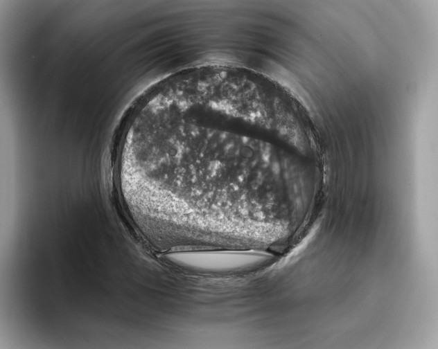 X0000094341117200711301243