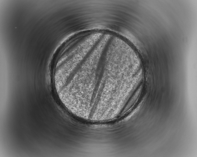 X0000094341118200711301243