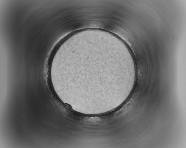 X0000094341119200711301243