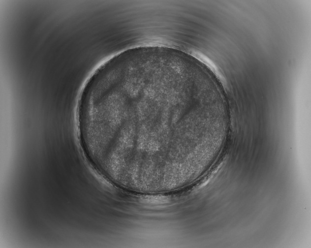 X0000094341120200711301243