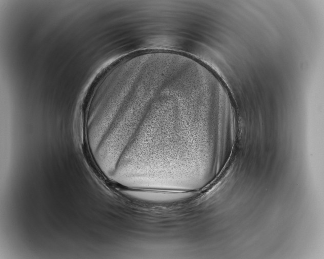 X0000094341123200711301243