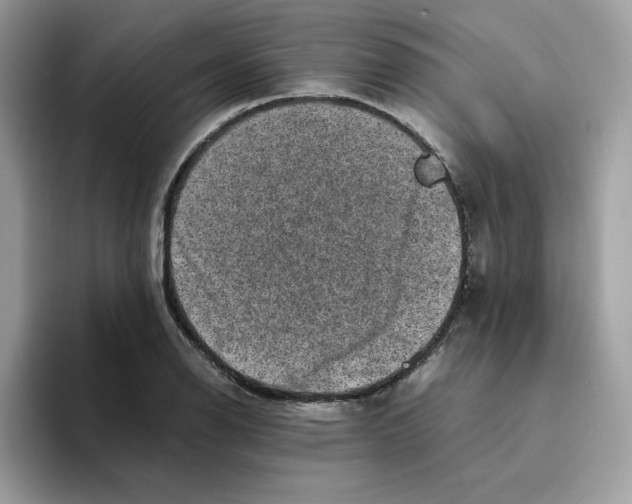 X0000094341126200711301243