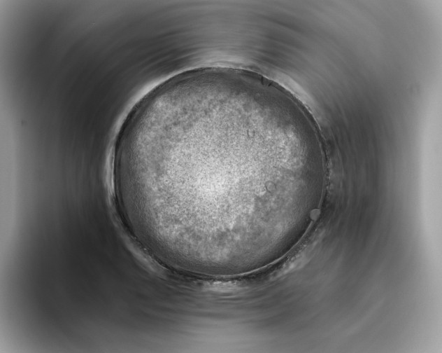 X0000094341128200711301243