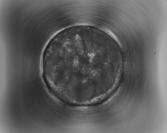 X0000094341132200711301243