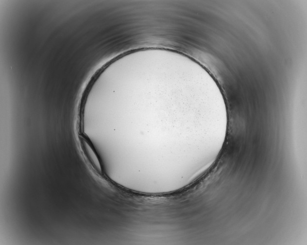 X0000094341136200711301243