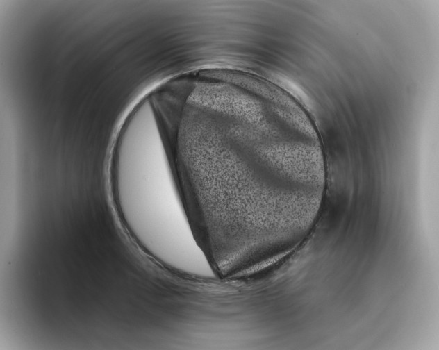 X0000094341138200711301243