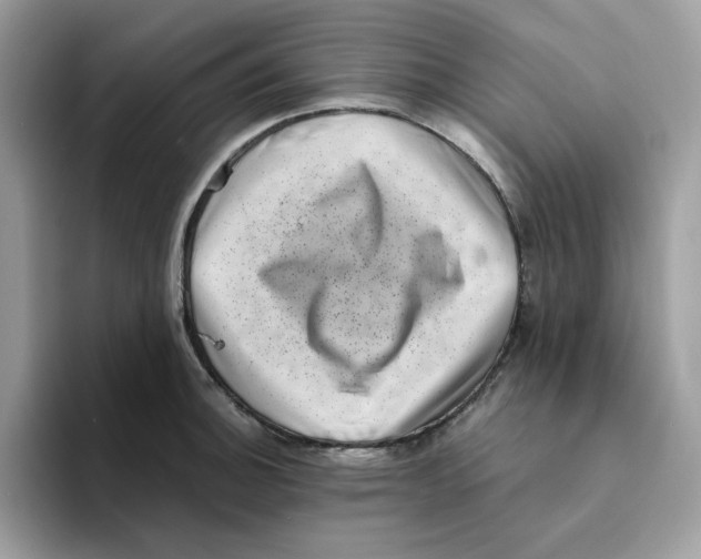 X0000094341140200711301243