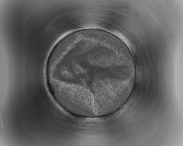 X0000094341142200711301243