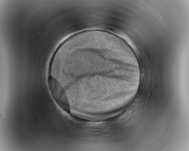 X0000094341143200711301243