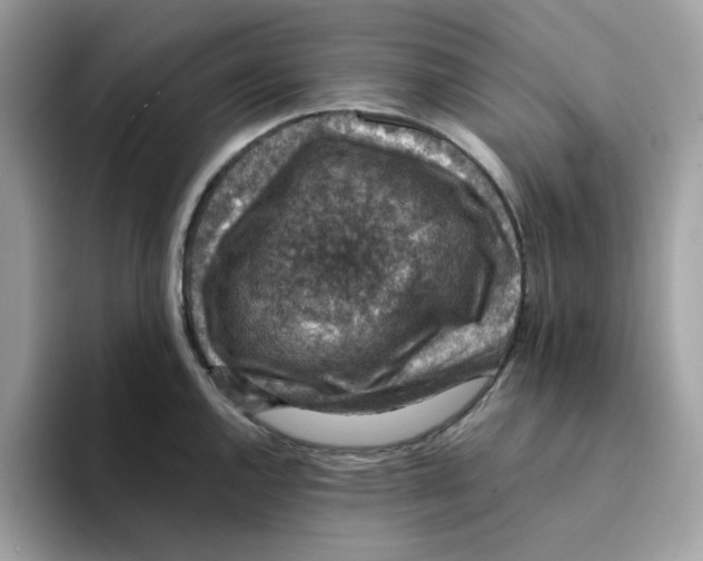 X0000094341144200711301243