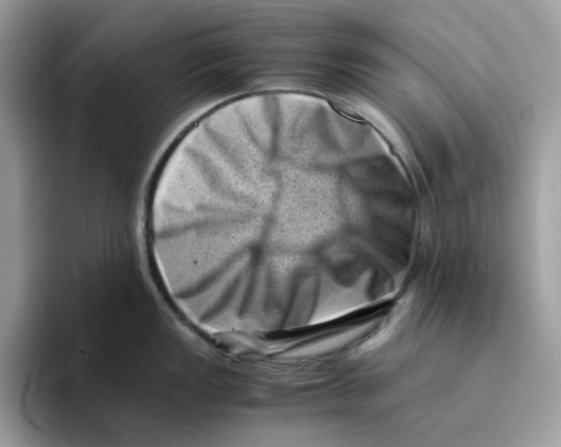 X0000094341149200711301243