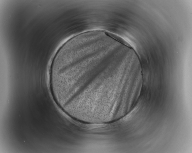 X0000094341151200711301243