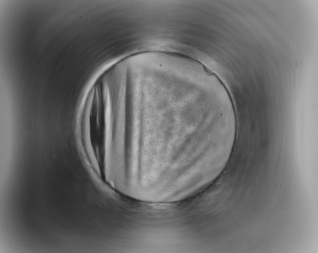 X0000094341152200711301243