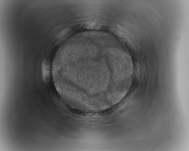 X0000094341154200711301243