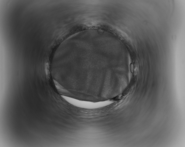 X0000094341156200711301243