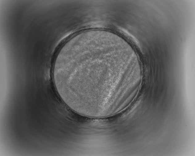 X0000094341166200711301243