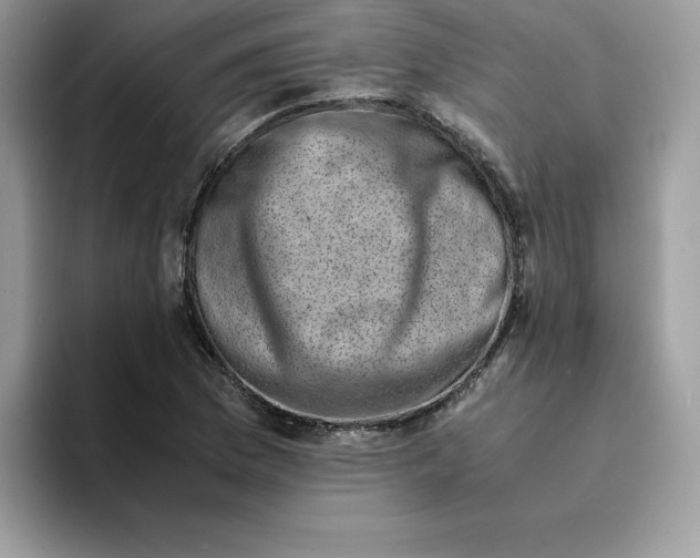 X0000094341169200711301243