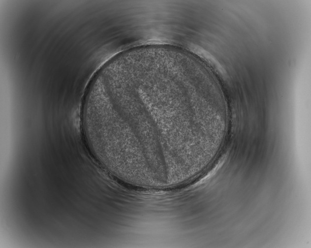 X0000094341170200711301243