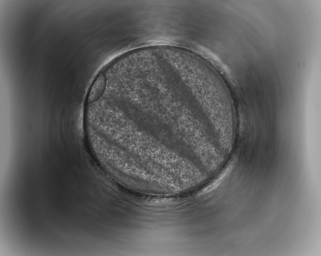 X0000094341174200711301242