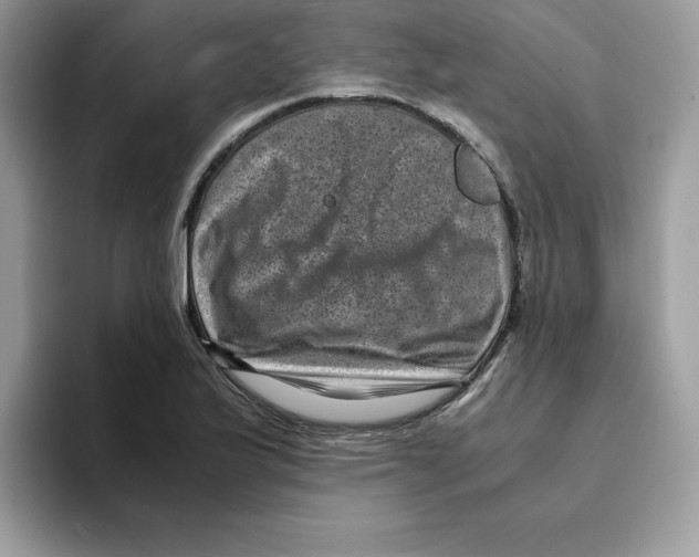 X0000094341175200711301242