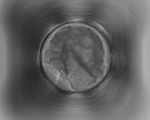 X0000094341178200711301242