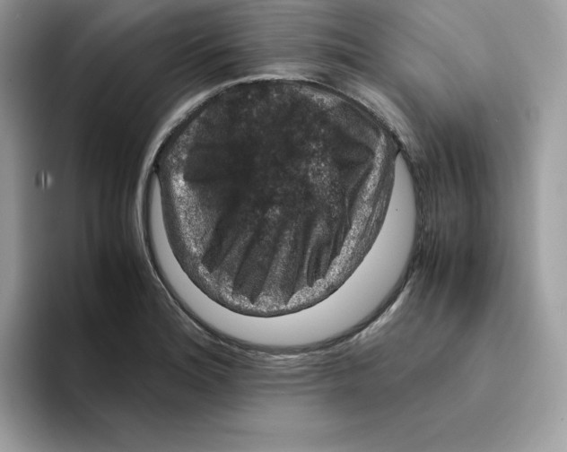 X0000094341180200711301242