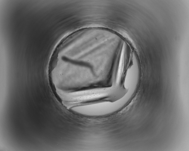 X0000094341181200711301242