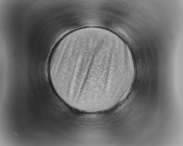 X0000094341182200711301242